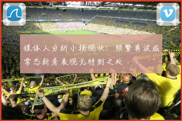 媒体人分析小杨现状：频繁奔波成常态新秀表现无特别之处