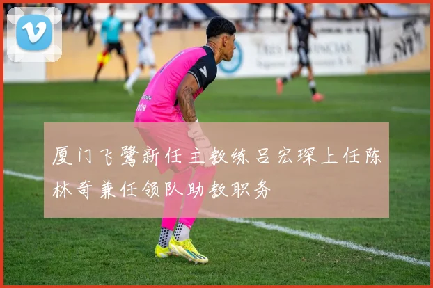 厦门飞鹭新任主教练吕宏琛上任陈林奇兼任领队助教职务