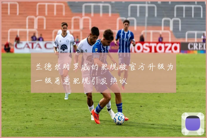 兰德尔对罗威的犯规被官方升级为一级恶意犯规引发热议