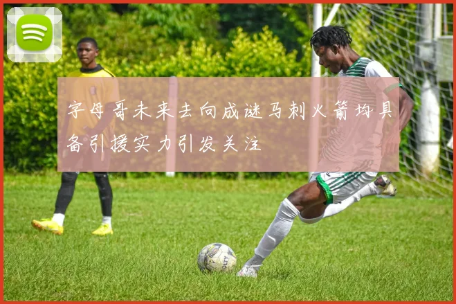 字母哥未来去向成谜马刺火箭均具备引援实力引发关注